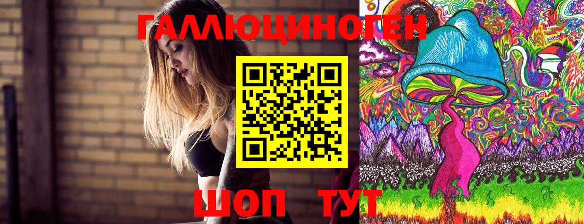 Псилоцибиновые грибы Psilocybe Ростов Великий